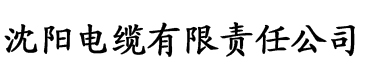 盛唐风流电影免费观看电缆厂logo